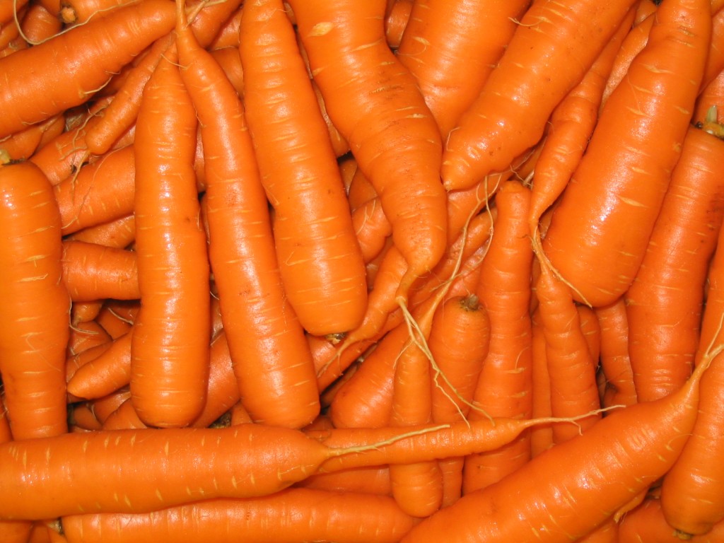 Bolero Carrots