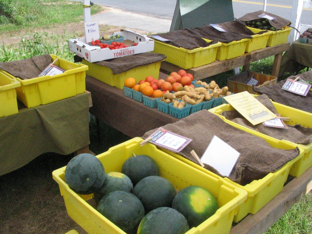 Farmstand August 2011