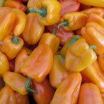 peppers, mini