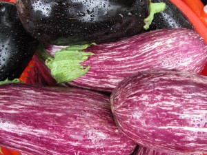 eggplant