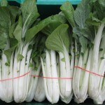 pac choi