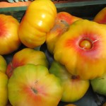 heirloom tomatoes