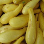 summer squash