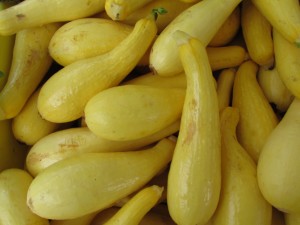 summer squash