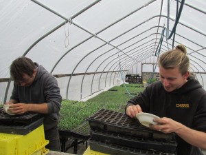 greg & josh seeding march 24 2016