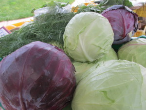 CSA Cabbage